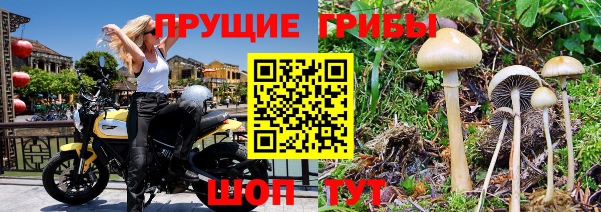 Когалым  Псилоцибиновые грибы Magic Shrooms  Вход с VPN 